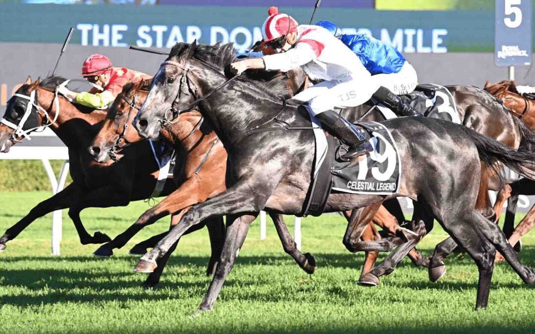 The Doncaster Mile 2025 Preview