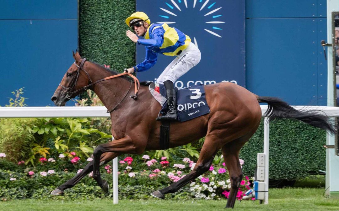 The Queen Elizabeth Stakes 2025 Preview