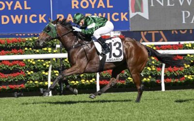 The Country Championships Final 2025