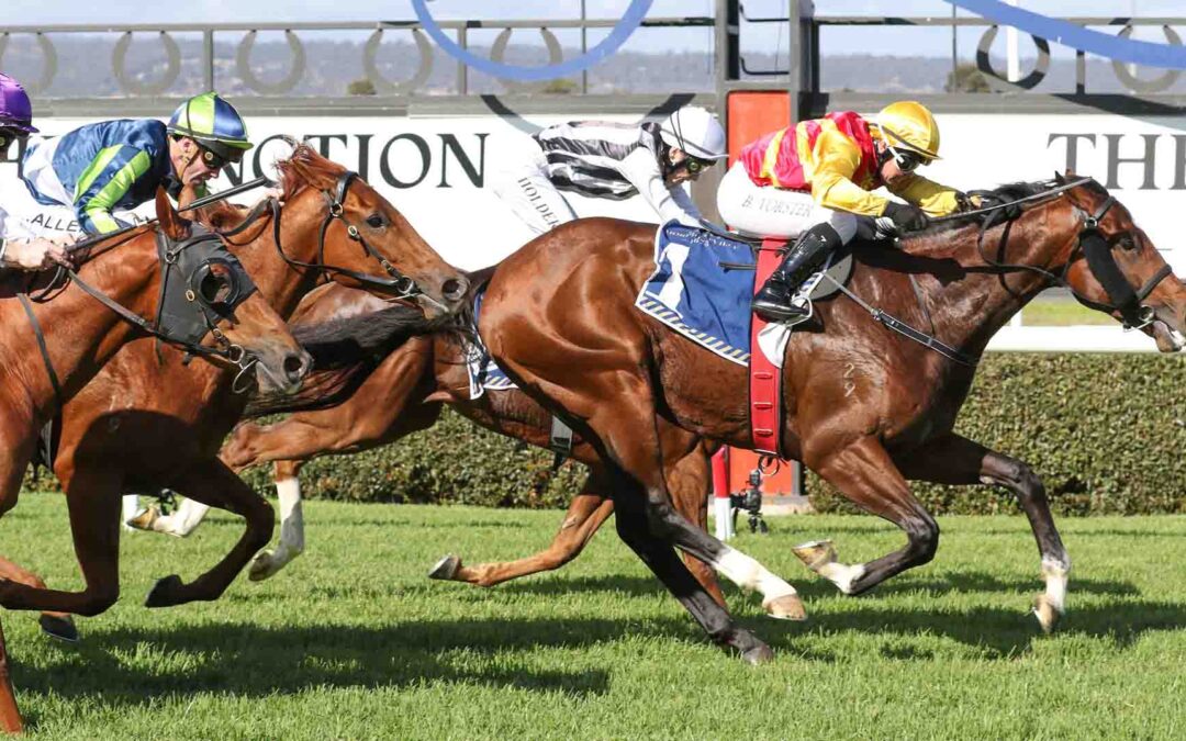 The Sires Produce Stakes 2025 Preview