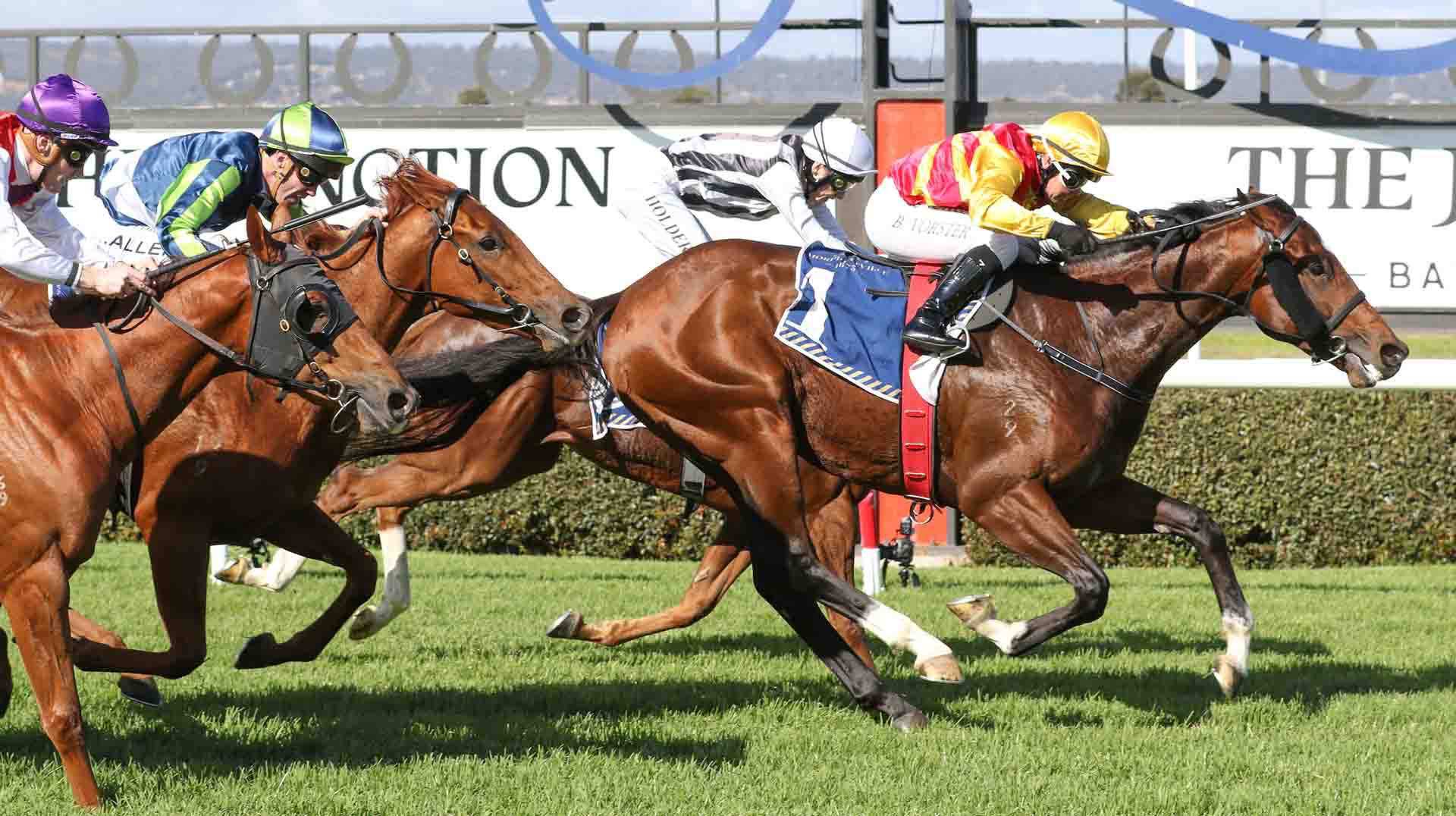 sires-produce-stakes Sires Produce Stakes