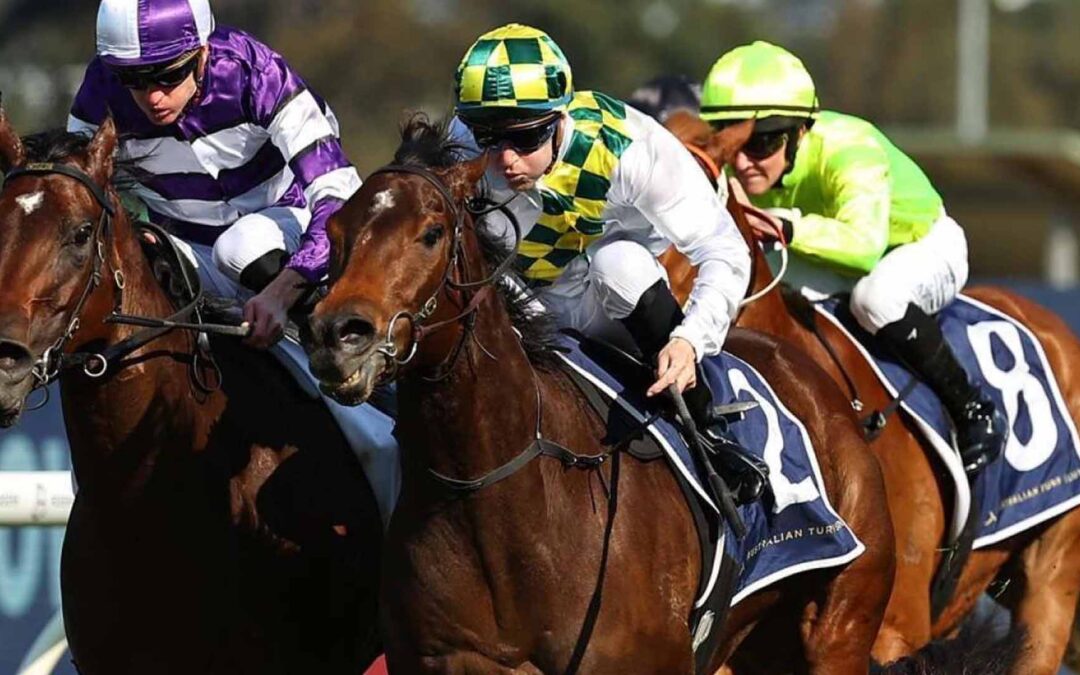 The TJ Smith Stakes 2025 Preview