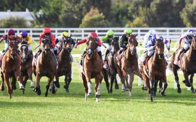 Mornington Cup 2025 Preview