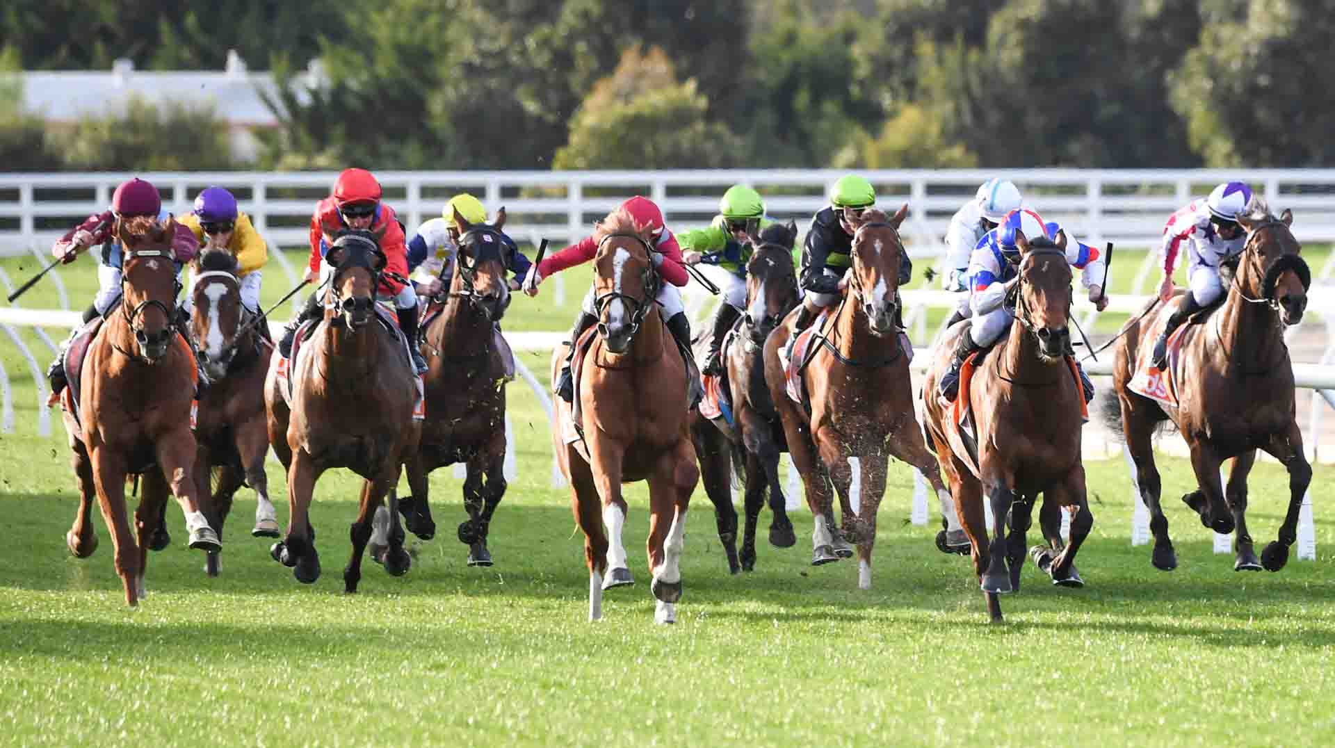 Mornington Cup Mornington Cup 2025