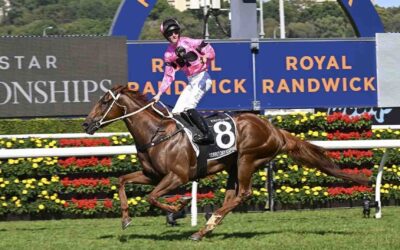The Sydney Cup 2025 Preview