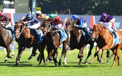 The All Aged Stakes 2025 Preview