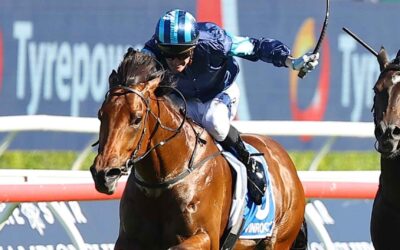The Champagne Stakes 2025 Preview
