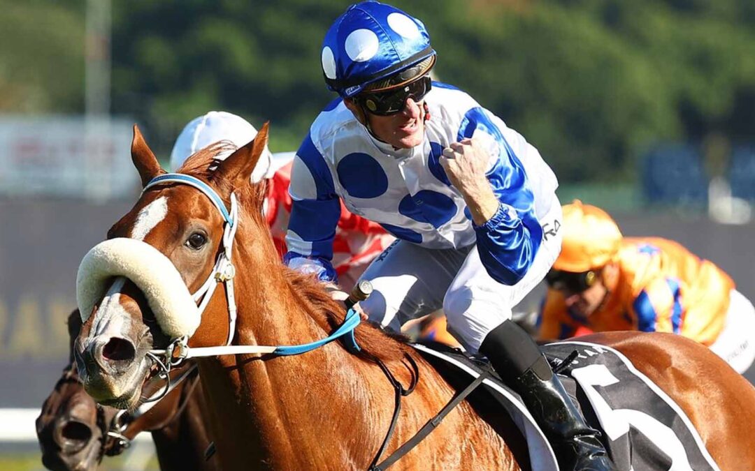 The Australian Oaks 2025 Preview
