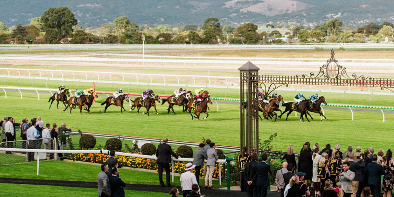 south australian derby south australian derby
