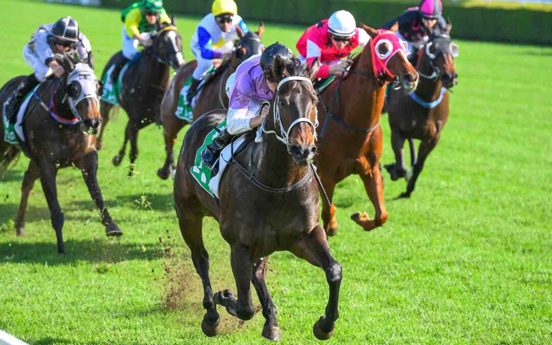 How to Place Exotic Bets on Horse Racing