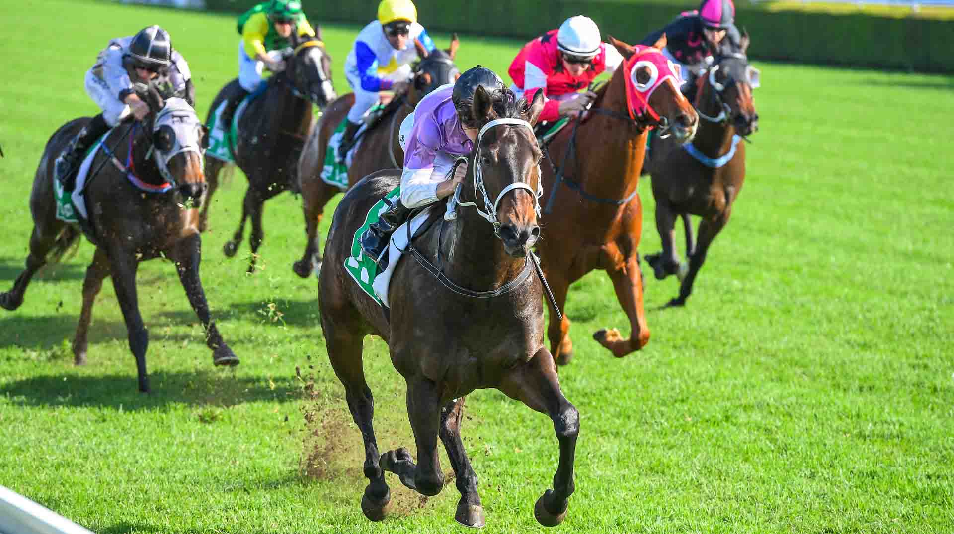 How to Place Exotic Bets