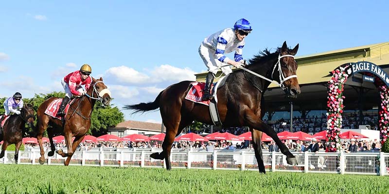 Queensland Derby Queensland Derby