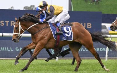 The Gosford Gold Cup 2025 Preview