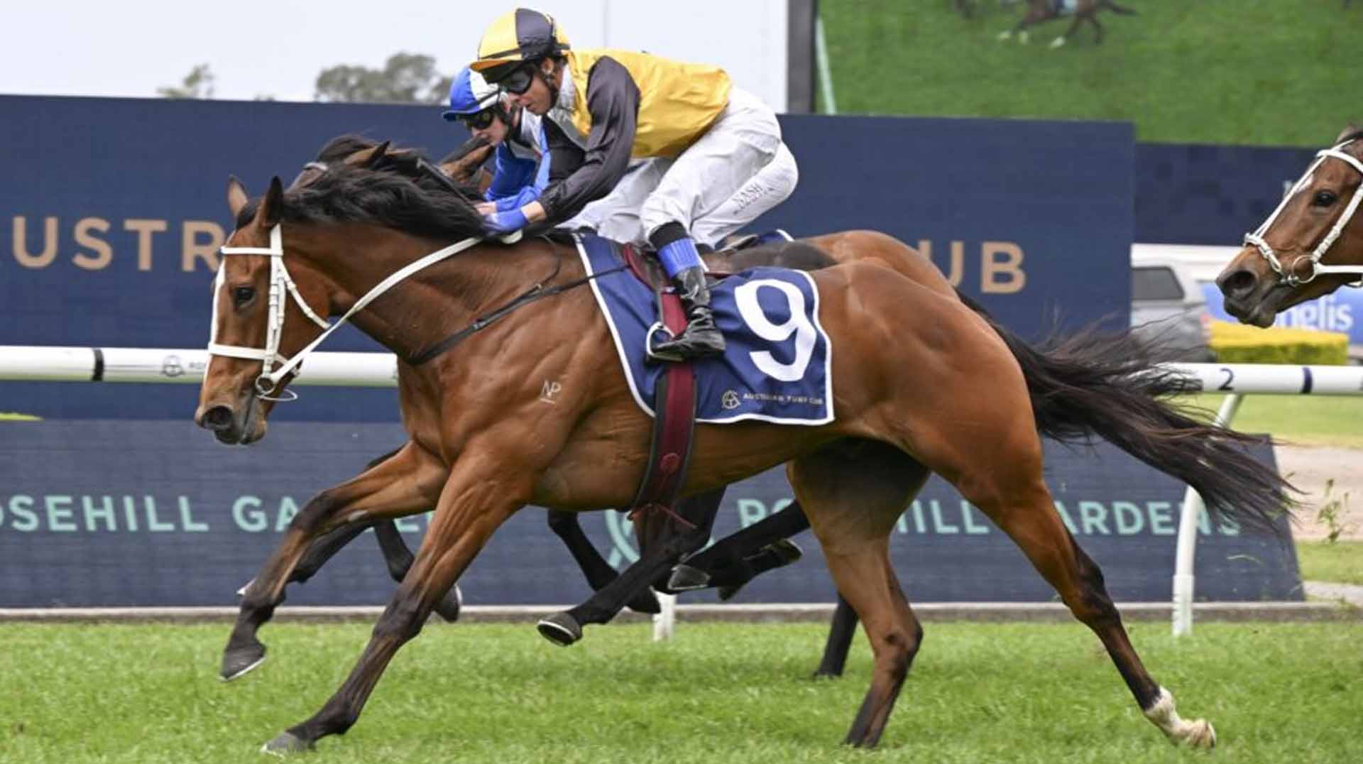 The Gosford Gold Cup 2025 The Gosford Gold Cup 2025