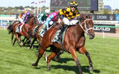The Kingsford-Smith Cup 2025 Preview