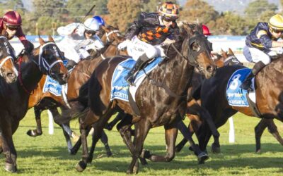 Goodwood Handicap 2025 Preview