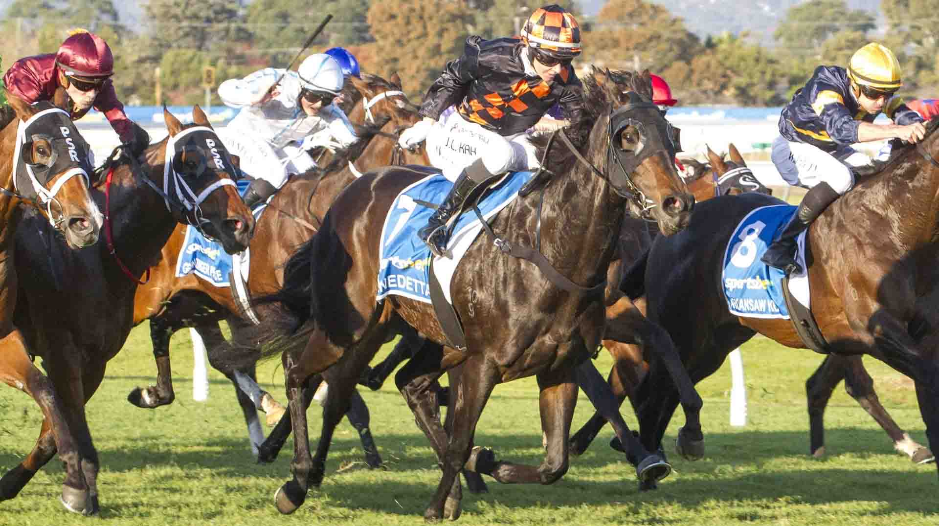 goodwood handicap goodwood handicap 2025