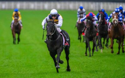 Queensland Derby 2025 Preview