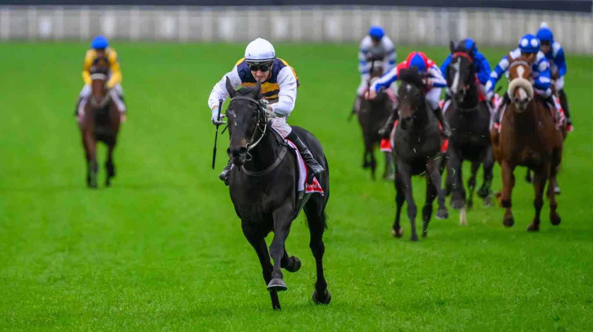 queensland derby 2025 queensland derby 2025