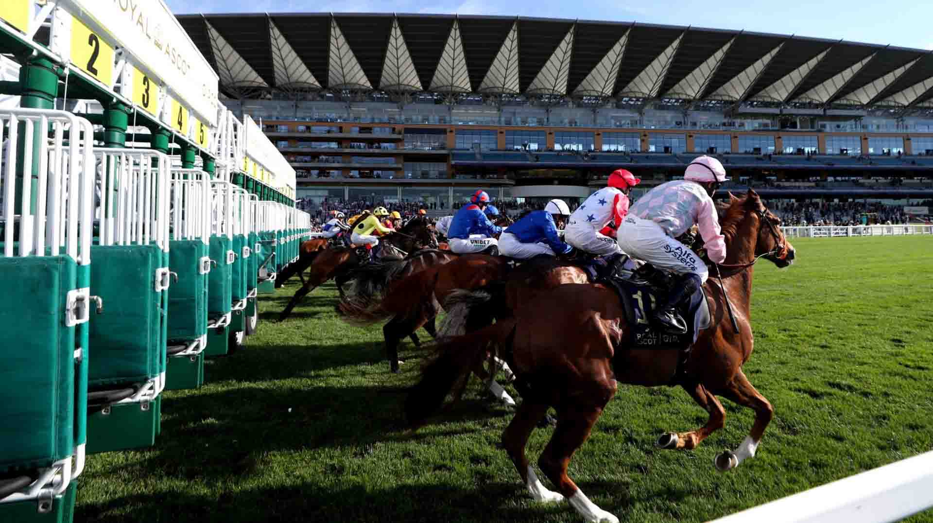 Complete Guide to Races at Royal Ascot