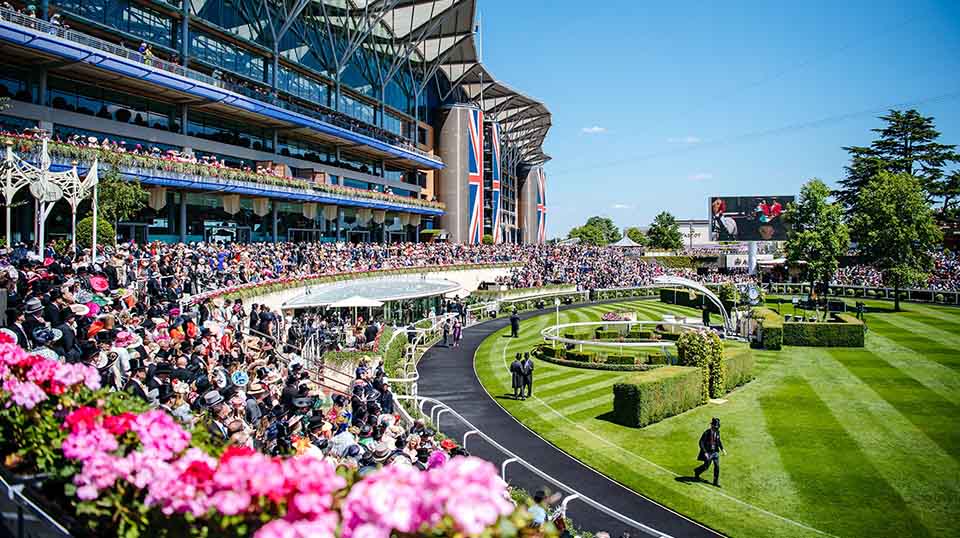 Aussie Horses At Royal Ascot 2025