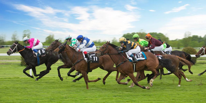 the doomben cup the doomben cup
