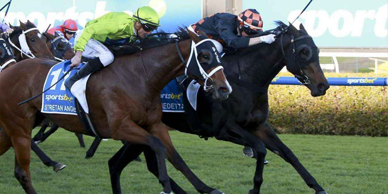 the goodwood The Goodwood Handicap