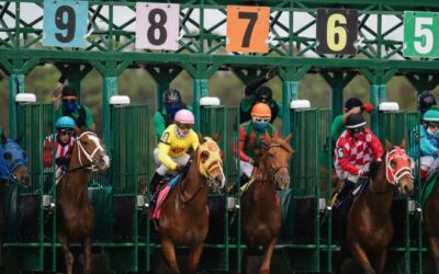 Watching Horse Racing Live: A Beginner’s Guide