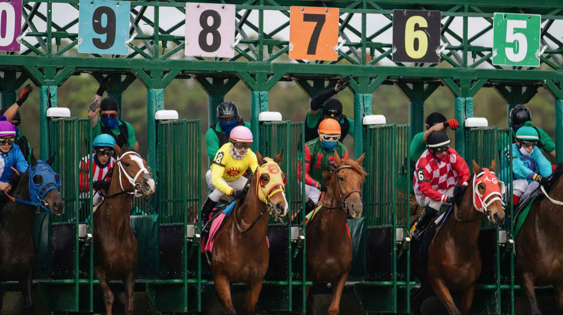 Watching horse racing live Watching horse racing live