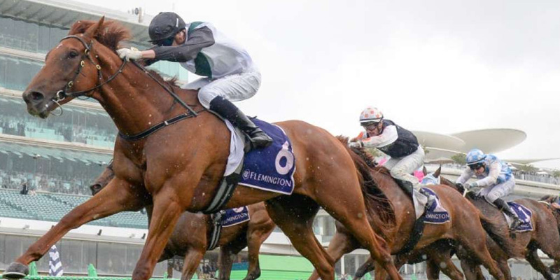 Stradbroke Handicap