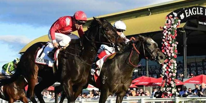 The Queensland Oaks The Queensland Oaks