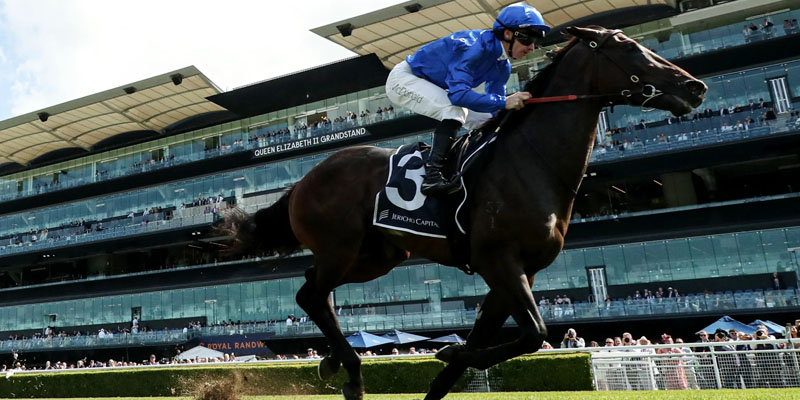 jj atkins stakes