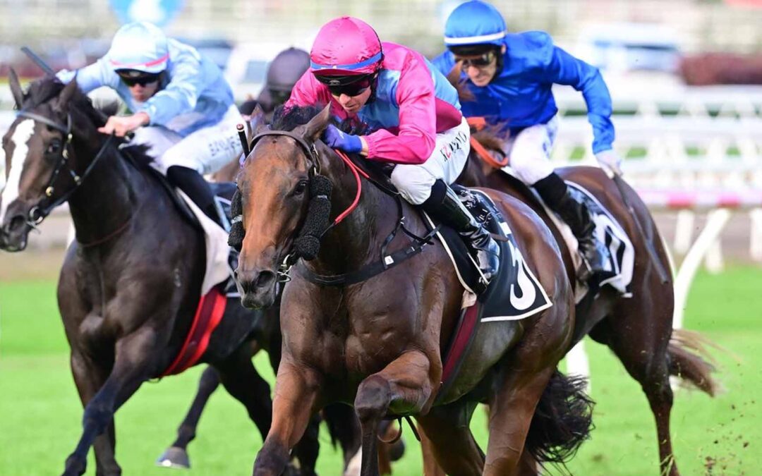 The Queensland Oaks 2025 Preview