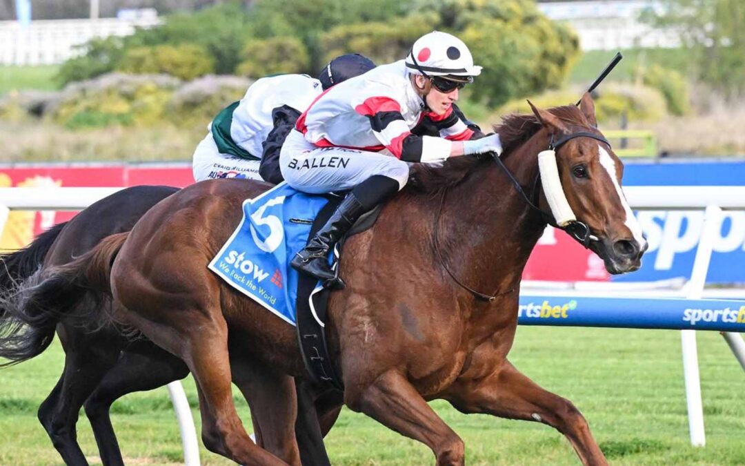 Memsie Stakes 2025 Preview