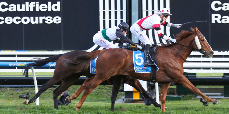 Memsie Stakes horses racing at Caulfield