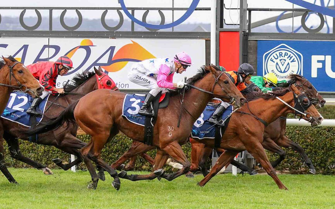 SA Sires’ Produce Stakes 2025 Preview