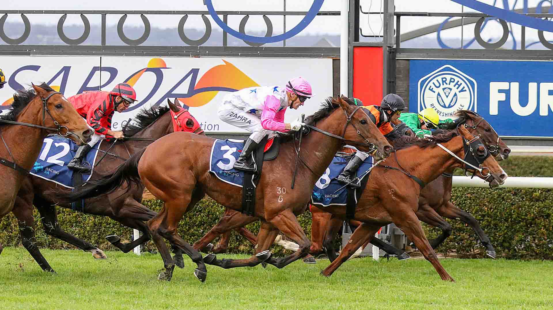 SA Sires Produce Stakes 2025