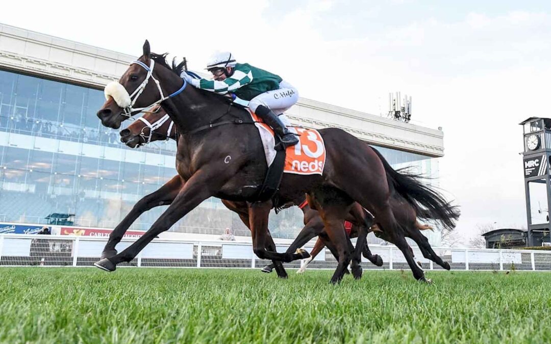 Sir John Monash Stakes 2025 Preview