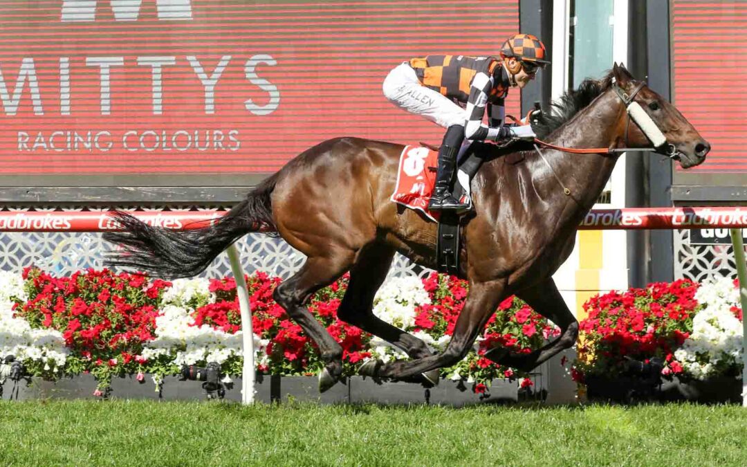 The Bletchingly Stakes 2025 Preview