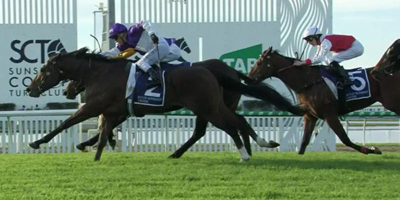 the winx guineas