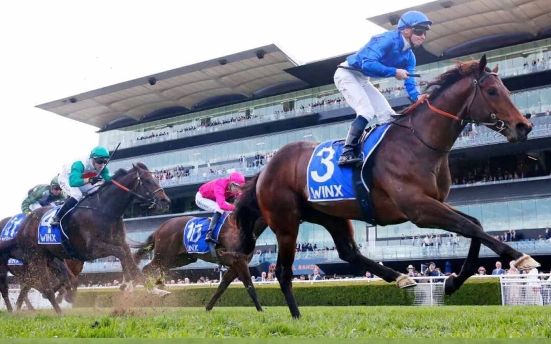 The Winx Stakes 2025 Preview