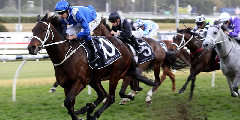 winx stakes