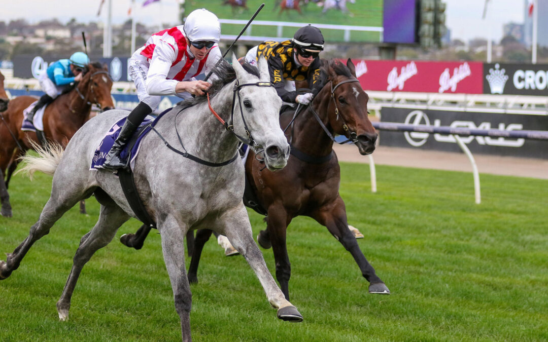 The Aurie’s Star Handicap 2025 Preview