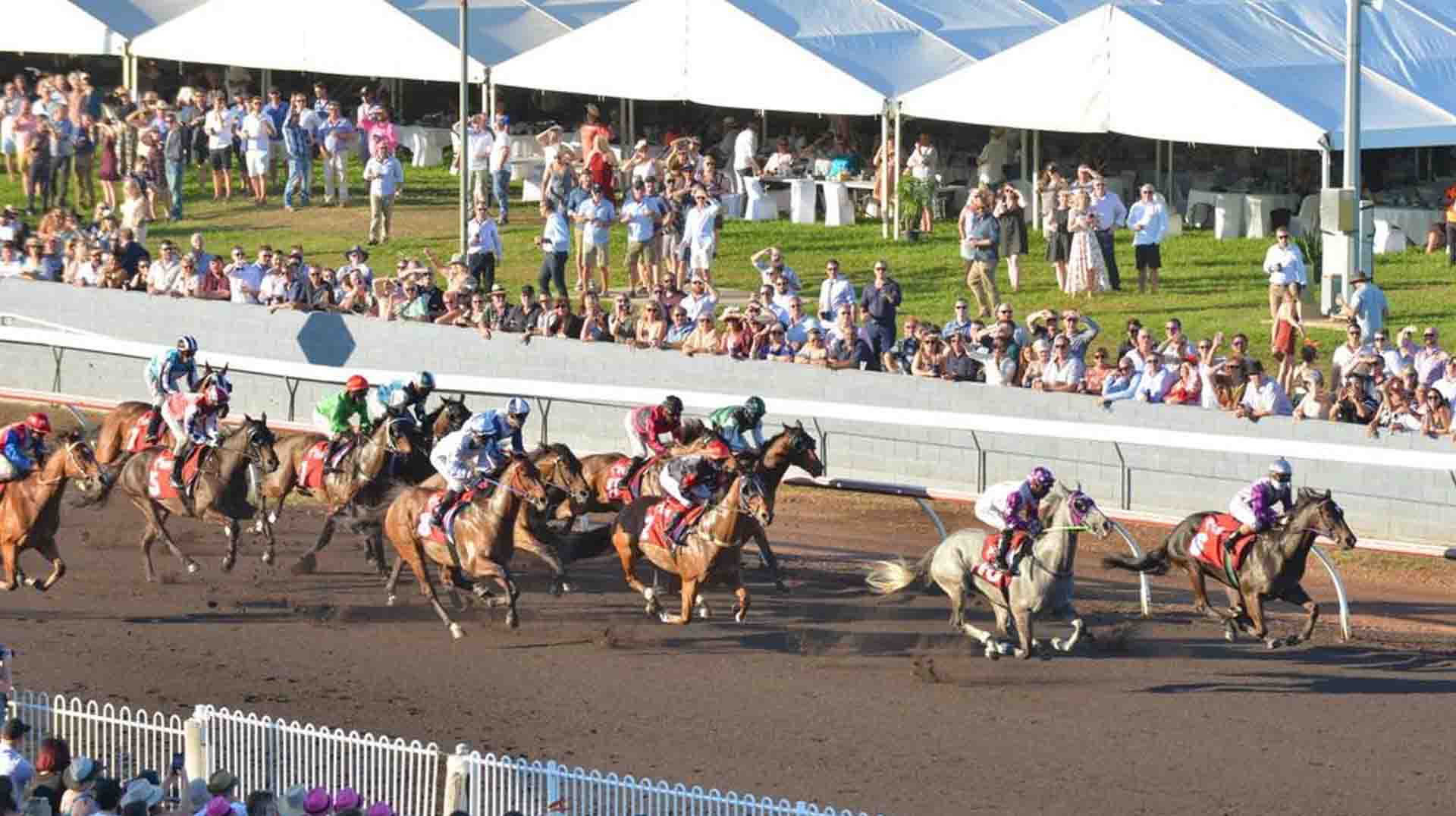 The Darwin Cup 2025