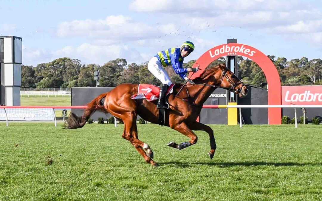 The Grand National Hurdle 2025 Preview