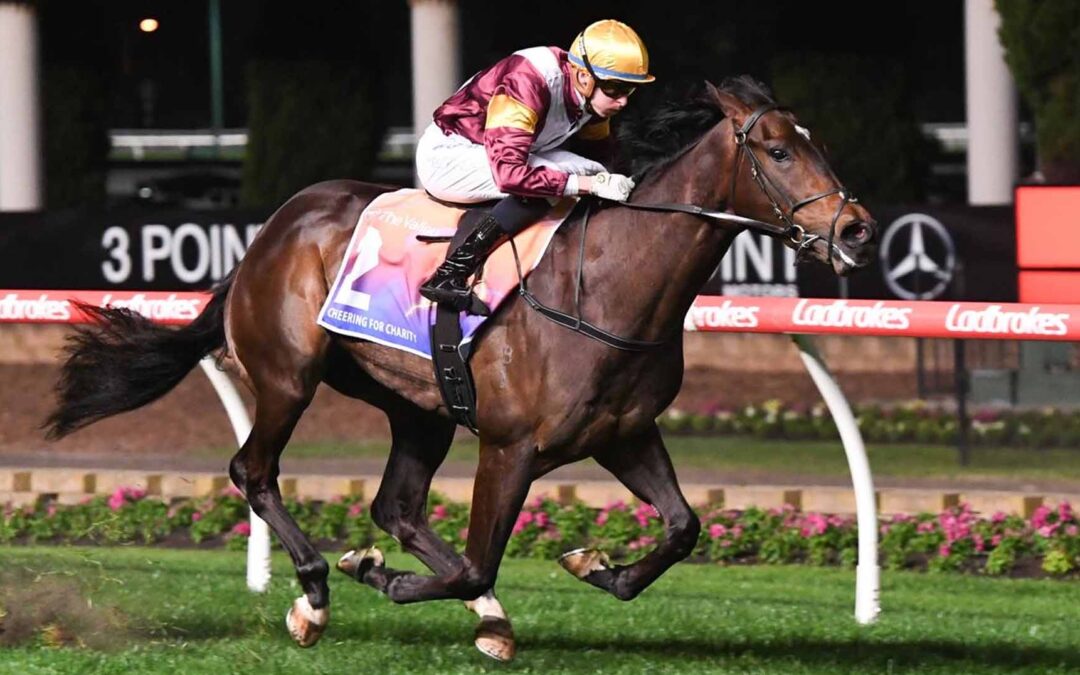 The PB Lawrence 2025 Preview