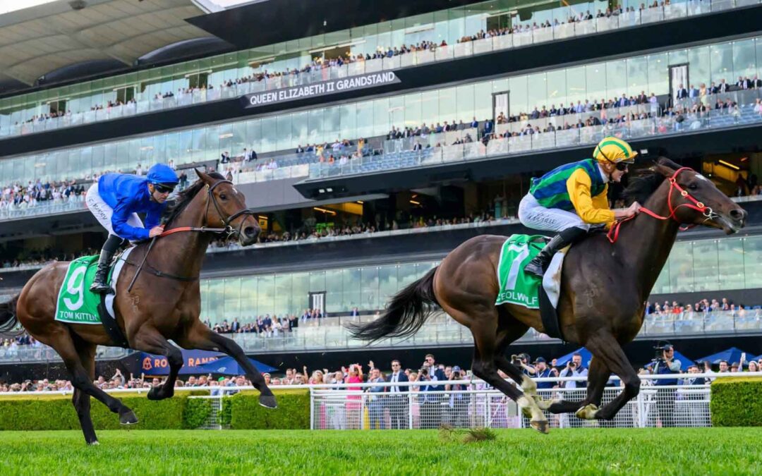 Epsom Handicap 2025 Preview