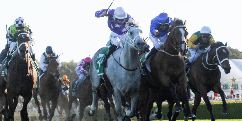 Epsom Handicap