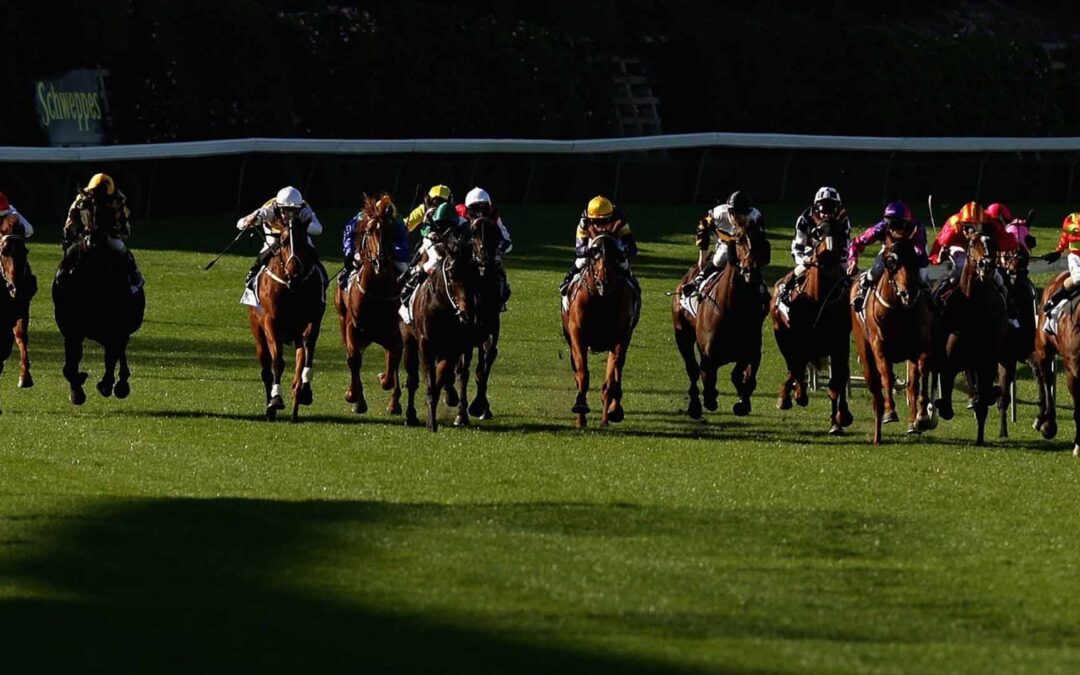 Manikato Stakes 2025 Preview