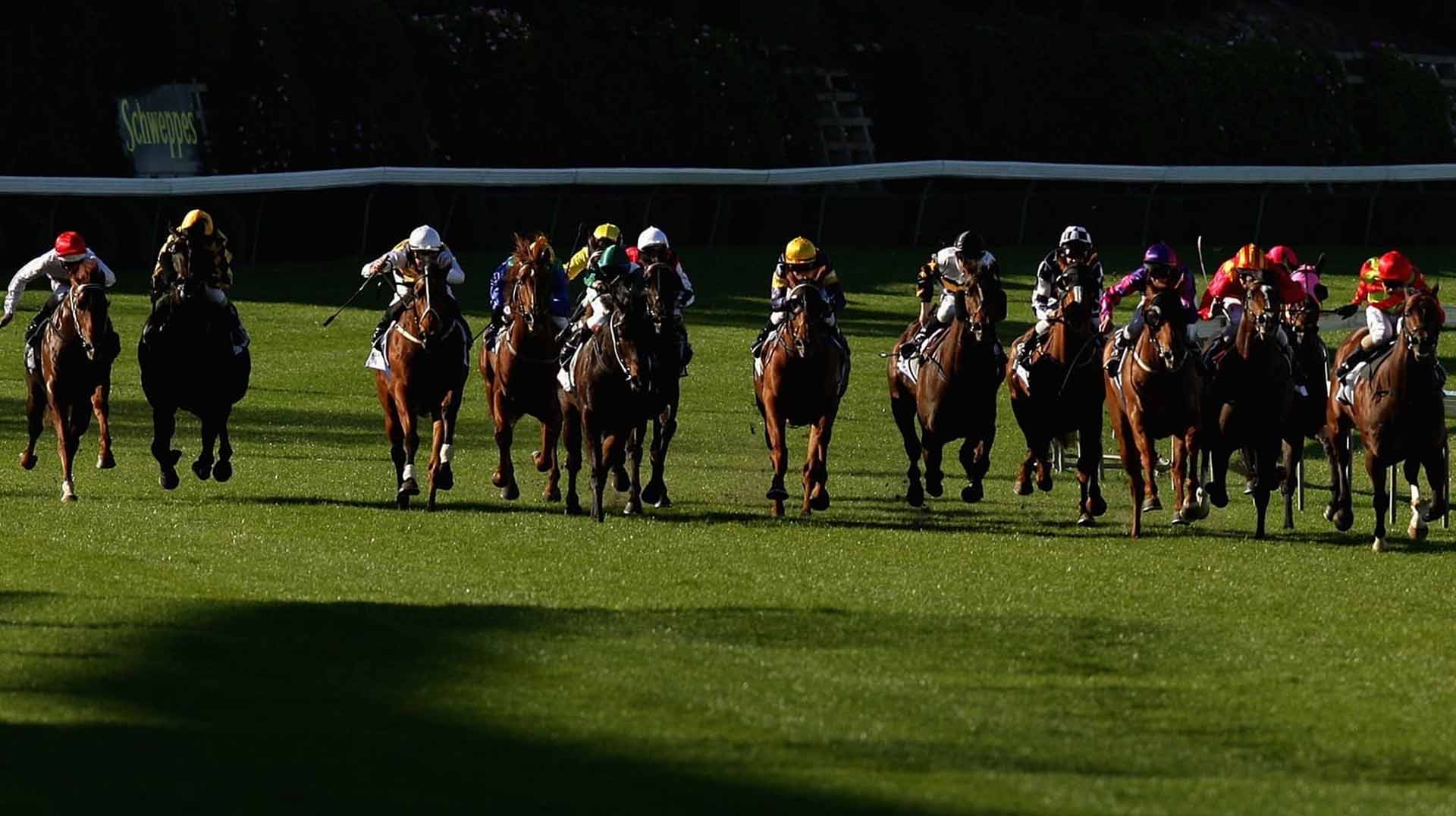 Manikato Stakes 2025